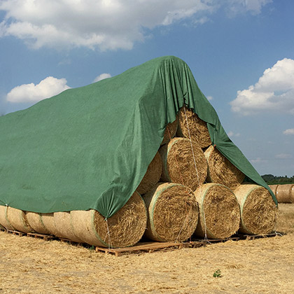 Agriculture